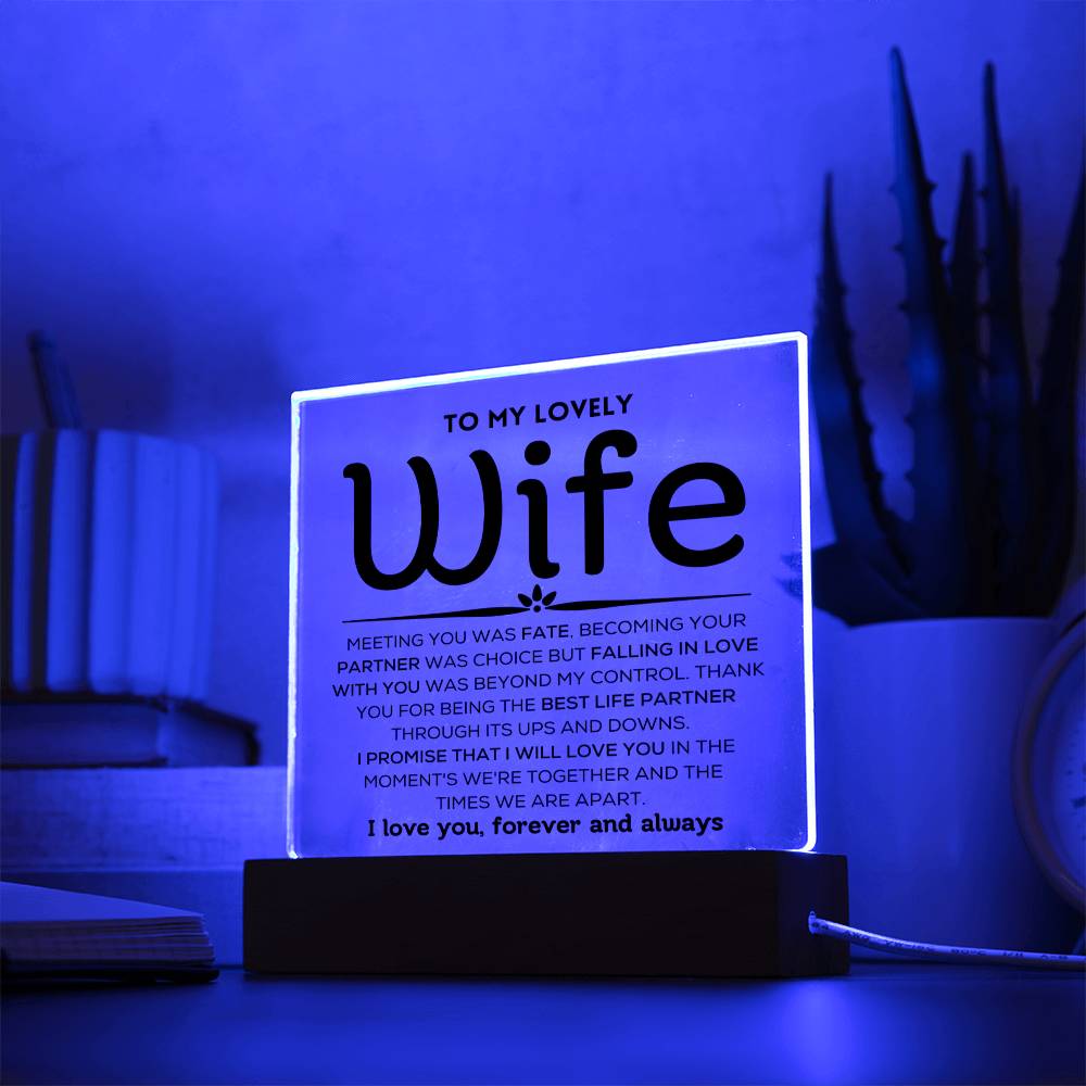 To My Wife - Love Choice - Acrylic Plaque