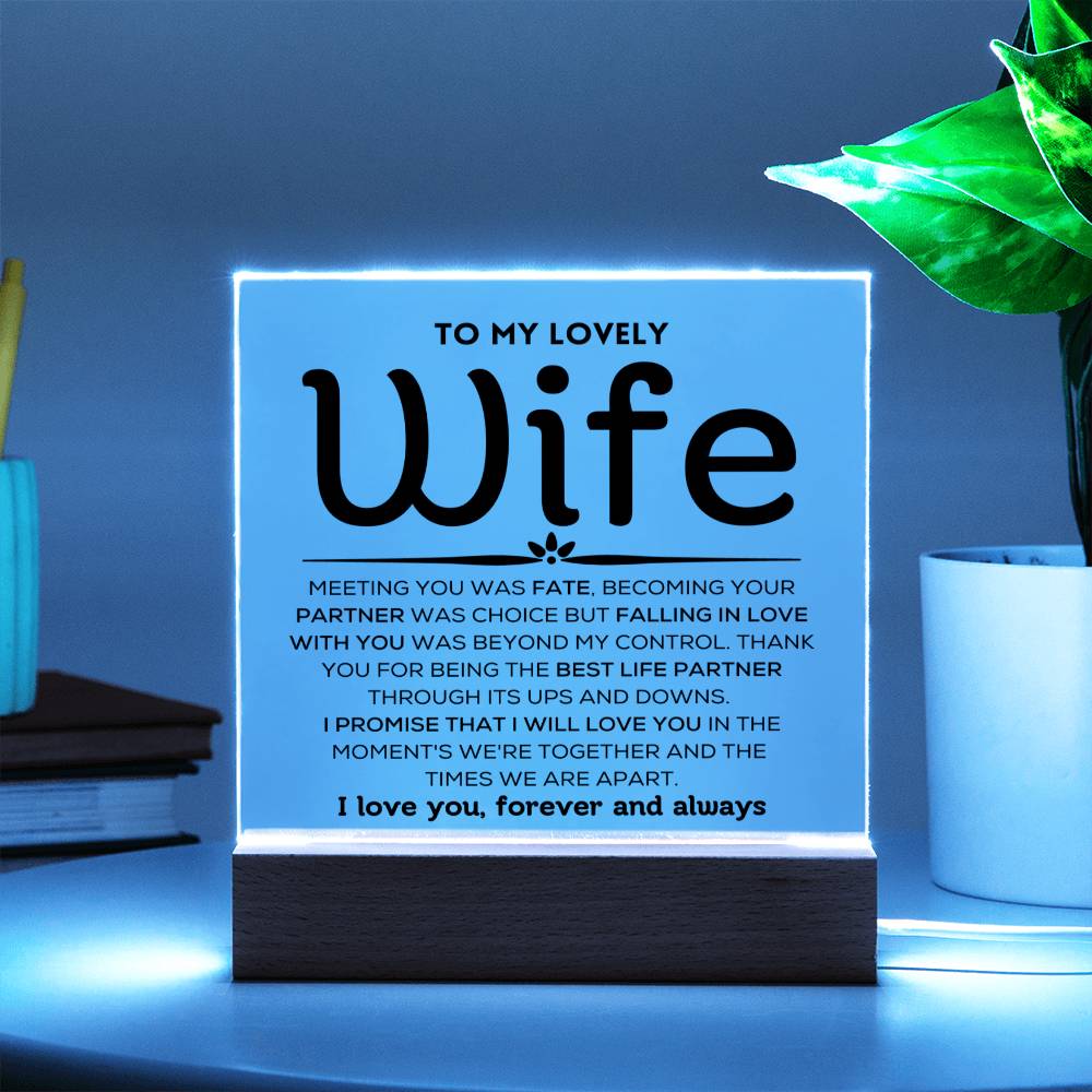 To My Wife - Love Choice - Acrylic Plaque