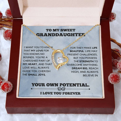 To My Sweet Granddaughter - Dream Big - Forever Love Necklace